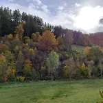 Baumgaertner *