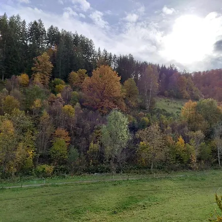 Baumgaertner *